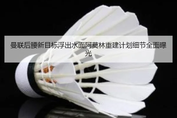 曼联后腰新目标浮出水面阿莫林重建计划细节全面曝光 - AYXAPP